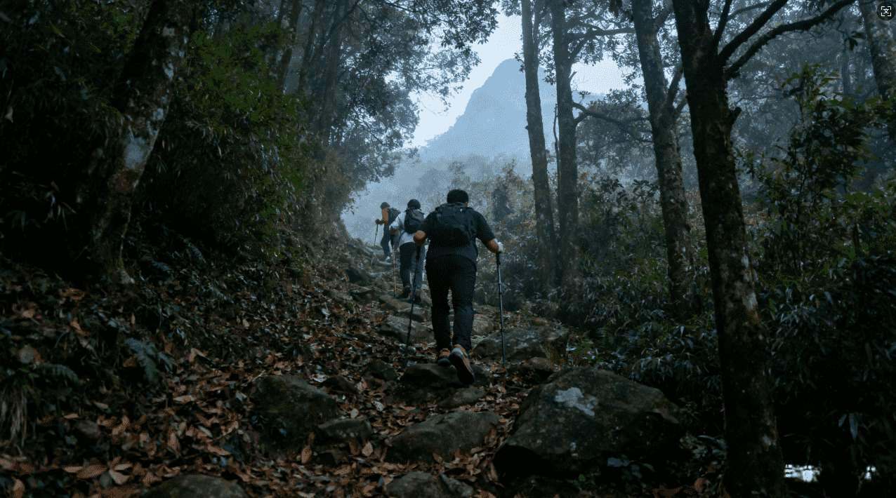 白鲸加速器无需付费轻松安装指南
